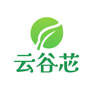 云谷芯